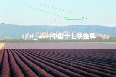 开平中国十七块金牌