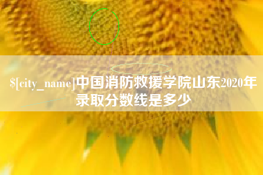 开平中国消防救援学院山东2020年录取分数线是多少