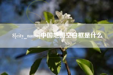 开平中国地图空白框是什么