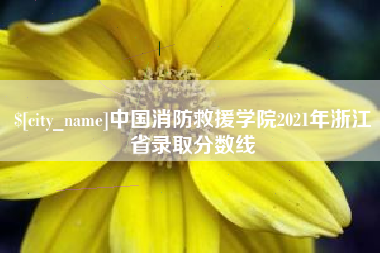 开平中国消防救援学院2021年浙江省录取分数线