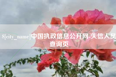 开平中国执政信息公开网-失信人员查询页