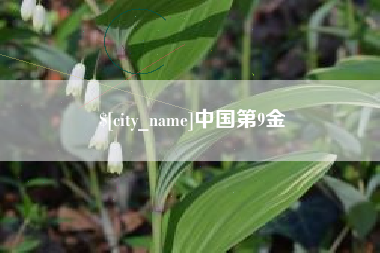 开平中国第9金