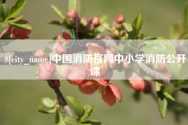 开平中国消防官网中小学消防公开课