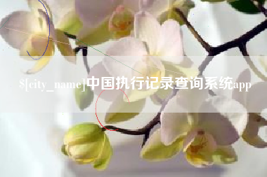 开平中国执行记录查询系统app