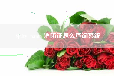 开平消防证怎么查询系统