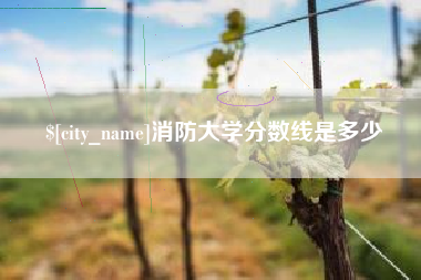 开平消防大学分数线是多少