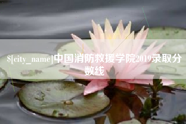 开平中国消防救援学院2019录取分数线