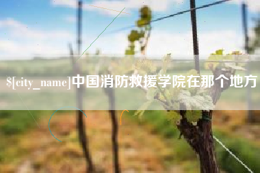开平中国消防救援学院在那个地方