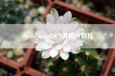 开平2021消防分数线