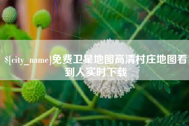 开平免费卫星地图高清村庄地图看到人实时下载