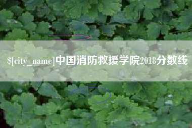 开平中国消防救援学院2018分数线
