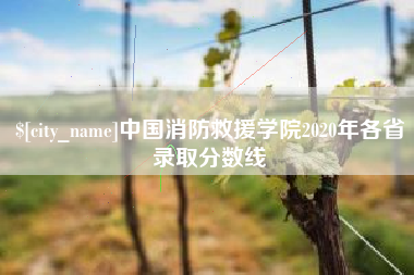 开平中国消防救援学院2020年各省录取分数线