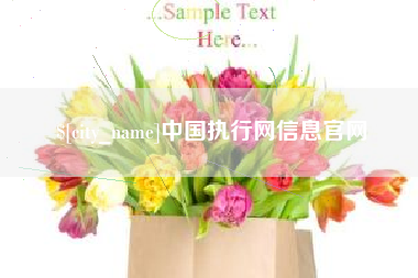 开平中国执行网信息官网