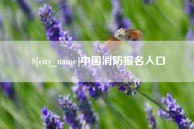 开平中国消防报名入口