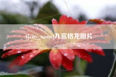 开平九宫格龙图片