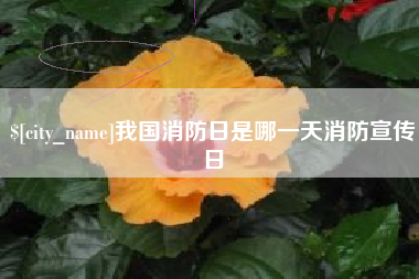 开平我国消防日是哪一天消防宣传日
