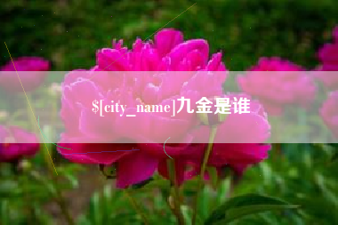 开平九金是谁
