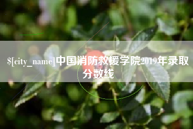 开平中国消防救援学院2019年录取分数线