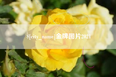 开平金牌图片2021