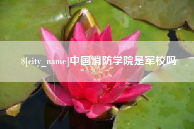 开平中国消防学院是军校吗