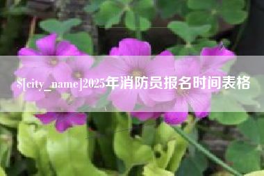 开平2025年消防员报名时间表格