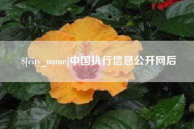 开平中国执行信息公开网后