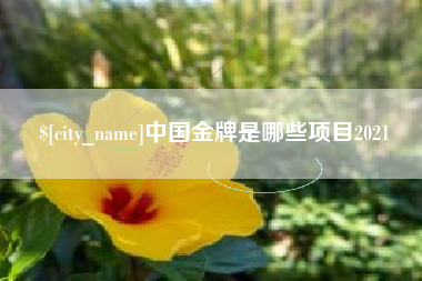 开平中国金牌是哪些项目2021