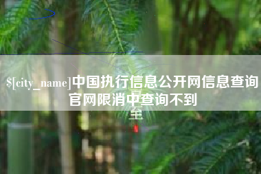 开平中国执行信息公开网信息查询官网限消中查询不到