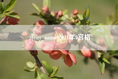 开平2021年9宫格