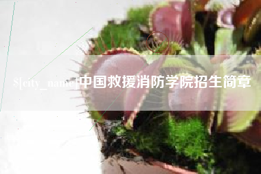 开平中国救援消防学院招生简章