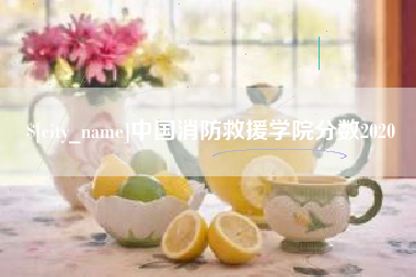 开平中国消防救援学院分数2020