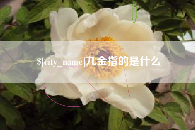 开平九金指的是什么