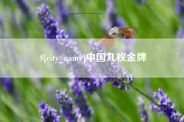 开平中国九枚金牌