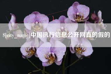 开平中国执行信息公开网真的假的