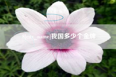 开平我国多少个金牌