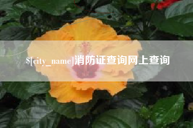 开平消防证查询网上查询