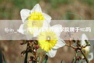 开平中国消防救援学院属于985吗
