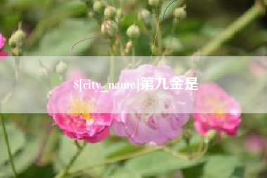开平第九金是