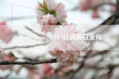 开平11月9日消防日全称