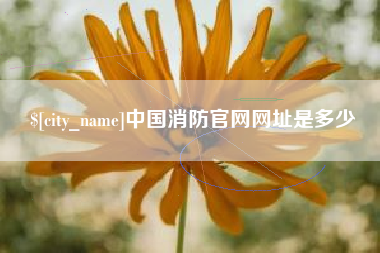 开平中国消防官网网址是多少