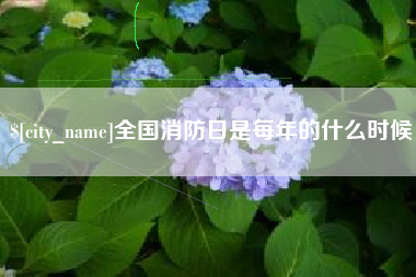 开平全国消防日是每年的什么时候