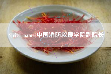 开平中国消防救援学院副院长