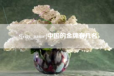 开平中国的金牌有几名