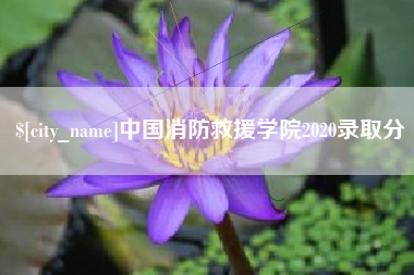 开平中国消防救援学院2020录取分