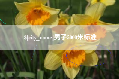 开平男子5000米标准