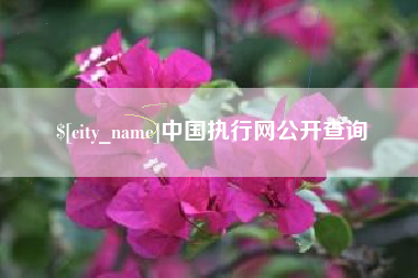 开平中国执行网公开查询