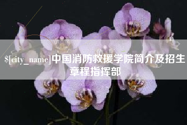 开平中国消防救援学院简介及招生章程指挥部