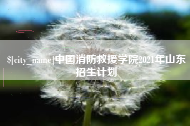开平中国消防救援学院2021年山东招生计划