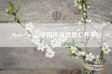 开平中国执行信息公开平台