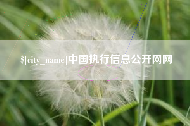 开平中国执行信息公开网网
